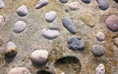 When Should You Replace Your Pebble Dash? Lifespan & Maintenance Tips