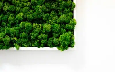 Eco-Friendly Finish Options After Removing Pebble Dash