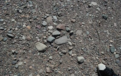 Does Removing Pebble Dash Increase Property Value? Here’s the Data