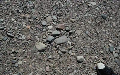 Does Removing Pebble Dash Increase Property Value? Here’s the Data