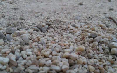 Common Mistakes to Avoid When Patching Pebble Dash